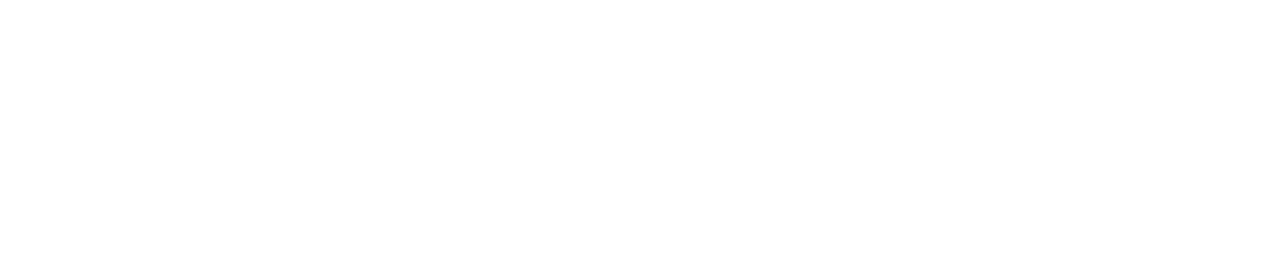 Nexion | Digital Marketing Agency Dubai | Shopify Partner | Performance Marketing GCC